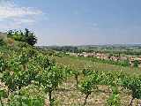 View Pezens